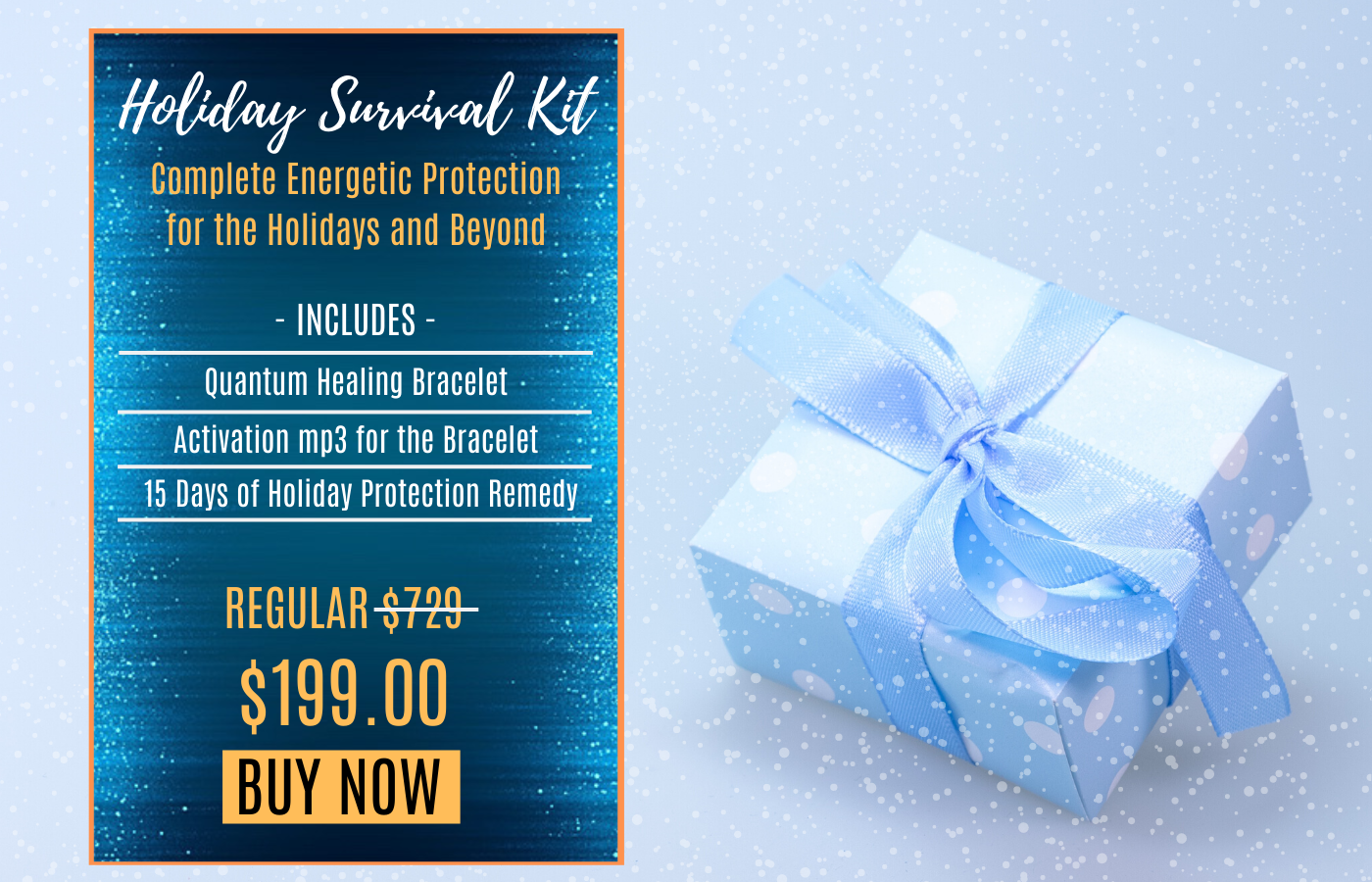 Holiday Protection Package 2