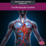 Cardiovascular System
