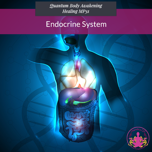 Endocrine System 1