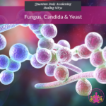 Fungus, Candida & Yeast