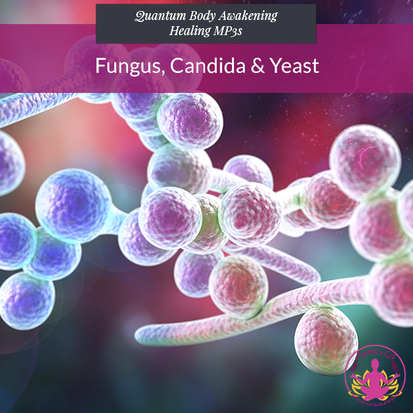 Fungus, Candida & Yeast 1