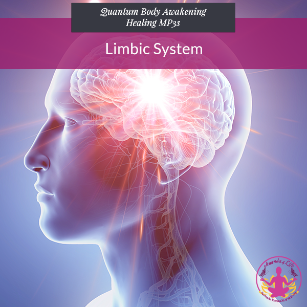 Limbic System 1