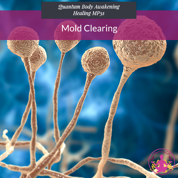 Mold Clearing 1