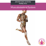 Musculoskeletal System