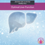 Optimal Liver Function Replay