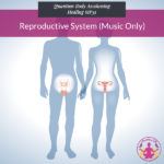 Reproductive System (Music Only)