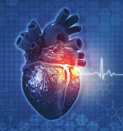Mijke Sacred Heart Health Transformation 2