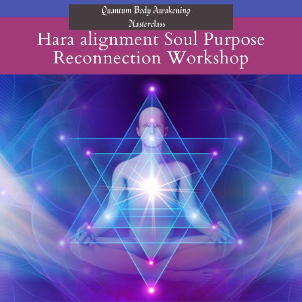Hara alignment Soul Purpose Reconnection Workshop (45-60min) 1